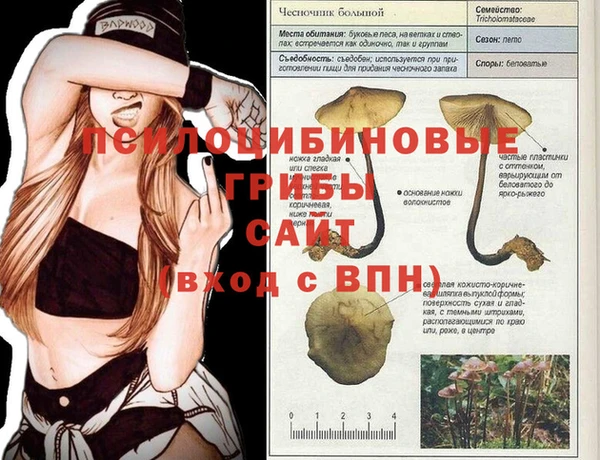 винт Баксан