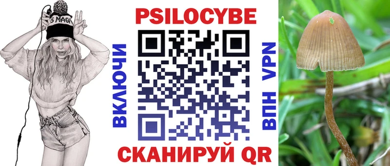 Купить где  Арамиль  Галлюциногенные грибы мицелий 